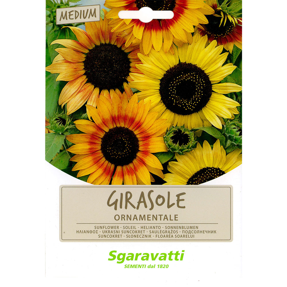 Semi per prato universale girasole ornamentale Sgaravatti