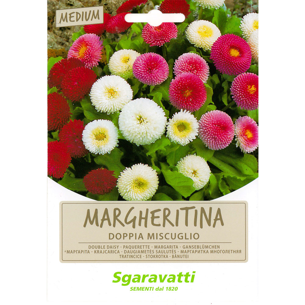 Semi per prato universale margheritine doppie in miscuglio Sgaravatti
