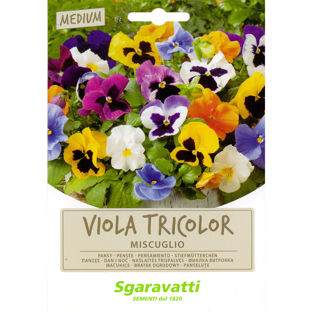 Semi per prato universale viola tricolor miscuglio Sgaravatti
