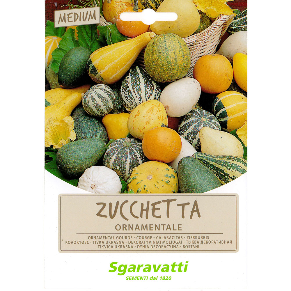 Semi per prato universale zucchette ornamentali Sgaravatti