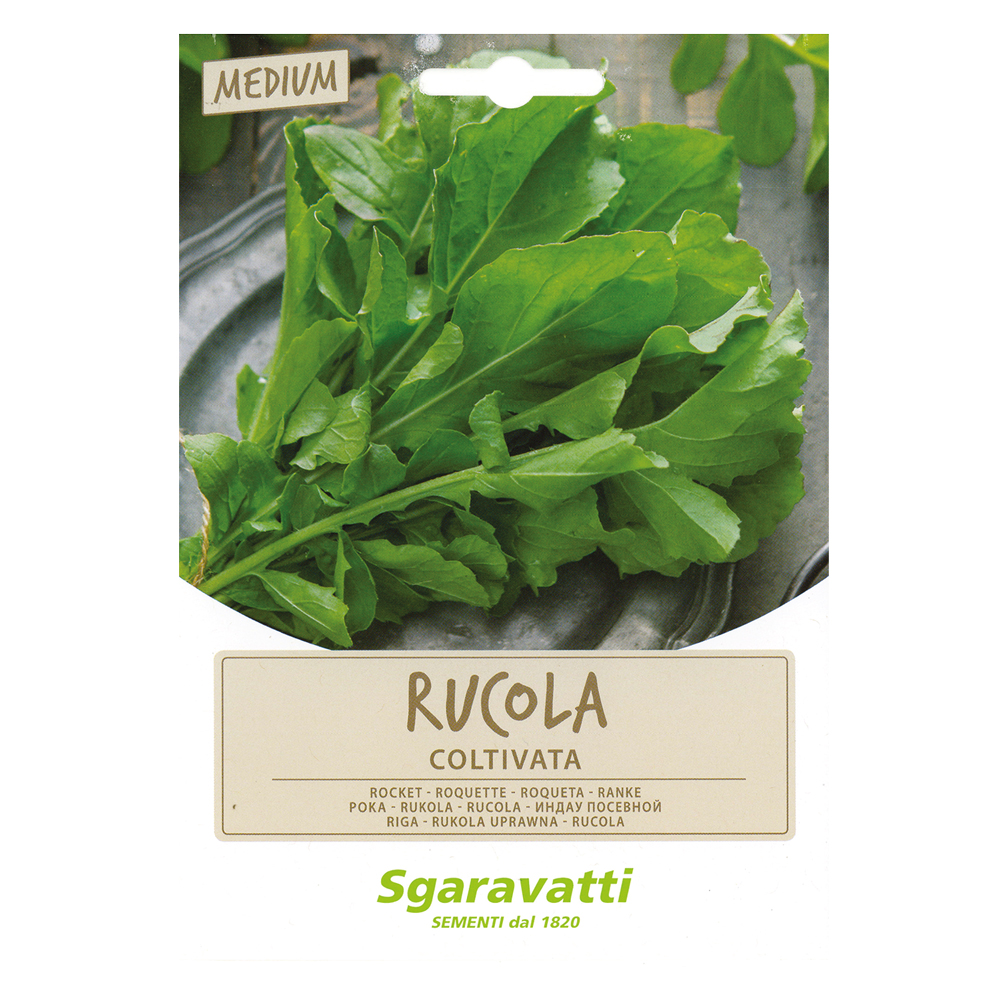 Semi per ortaggi e vegetali rucola coltivata Sgaravatti