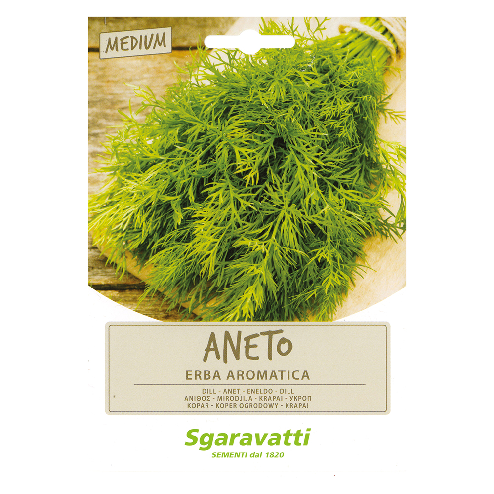 Semi per ortaggi e vegetali aneto Sgaravatti