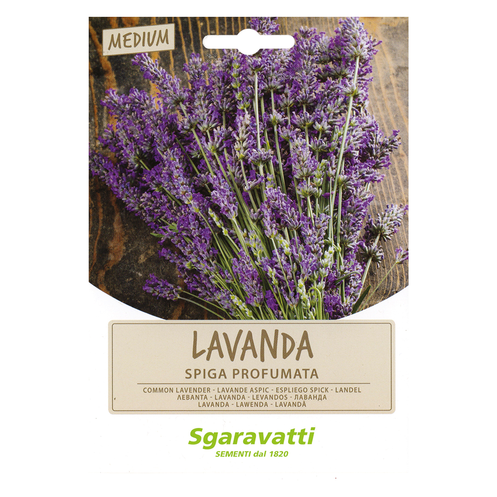 Semi per ortaggi e vegetali lavanda spiga Sgaravatti