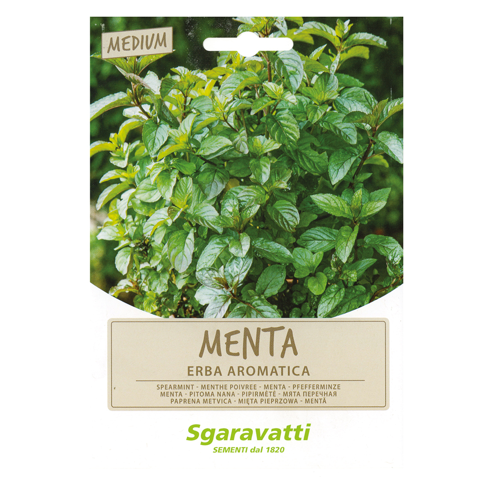 Semi per ortaggi e vegetali menta spicata Sgaravatti