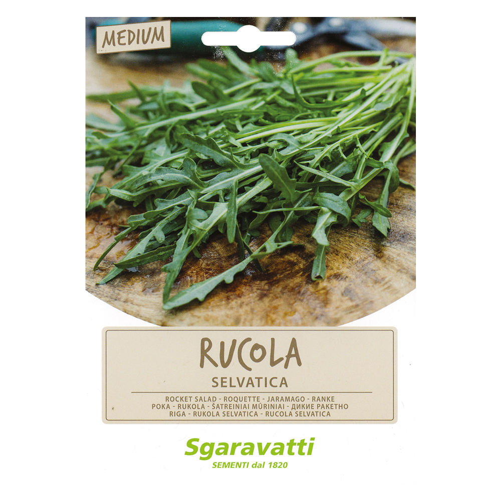 Semi per ortaggi e vegetali rucola selvatica Sgaravatti