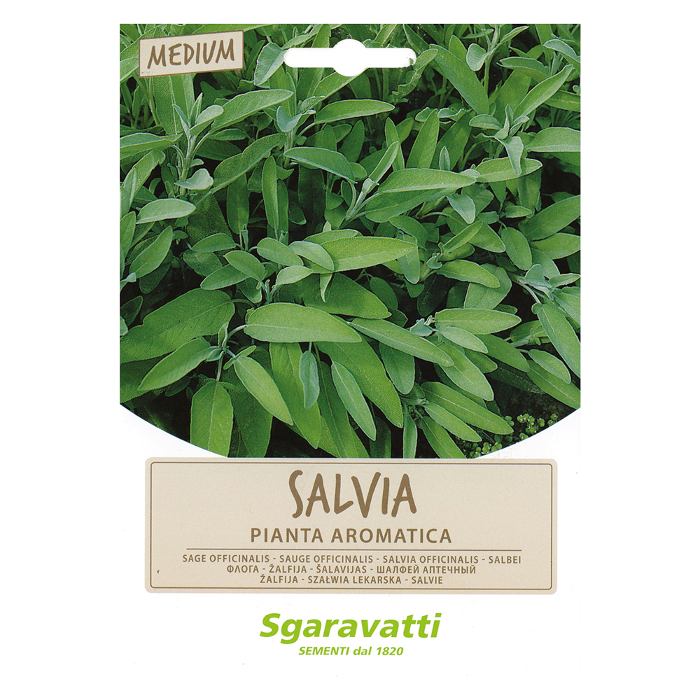 Semi per ortaggi e vegetali salvia officinale Sgaravatti