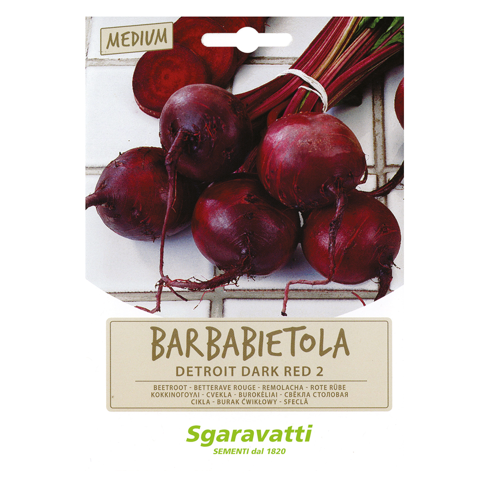 Semi per ortaggi e vegetali barbabietola detroit Sgaravatti
