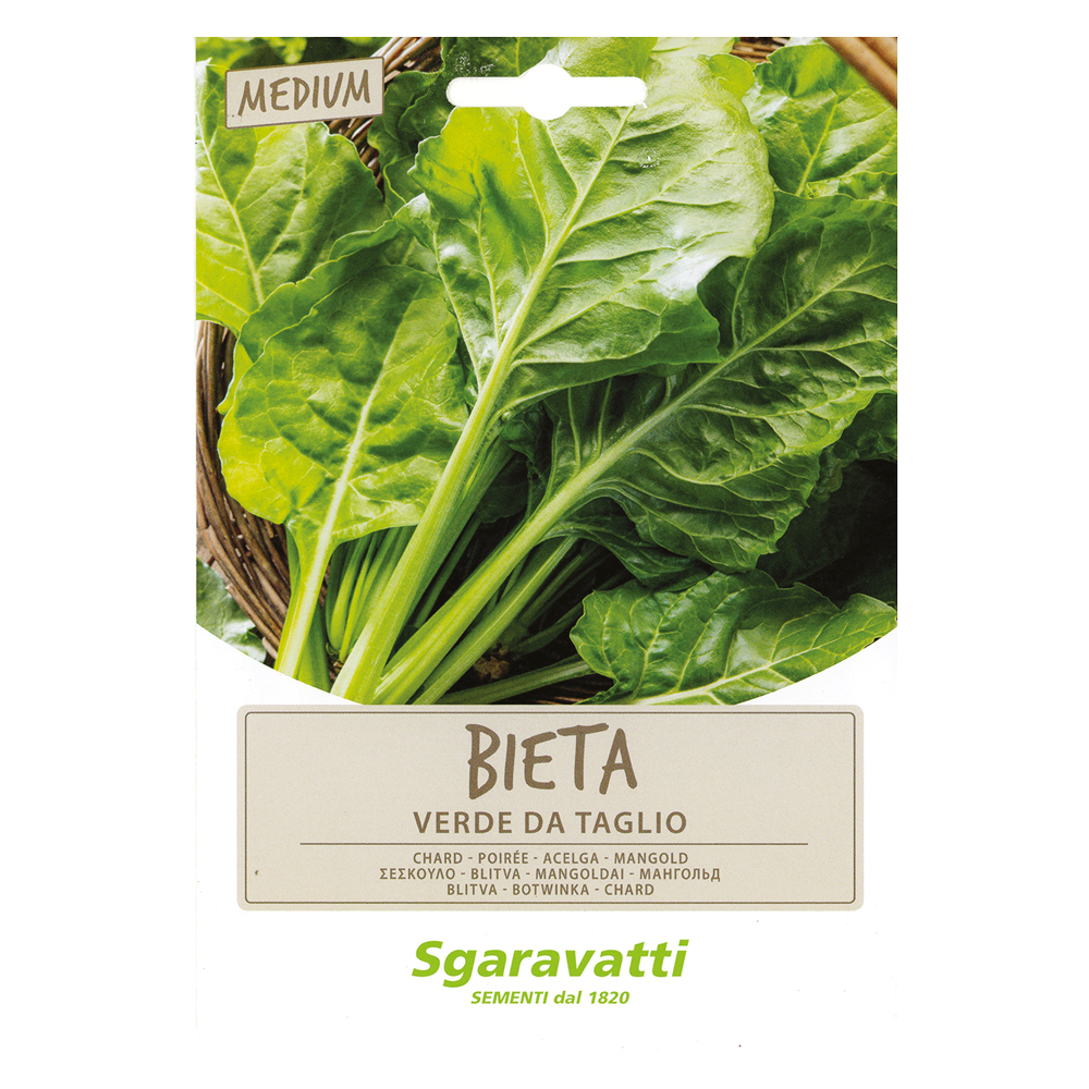 Semi per ortaggi e vegetali bieta liscia verde da taglio Sgaravatti