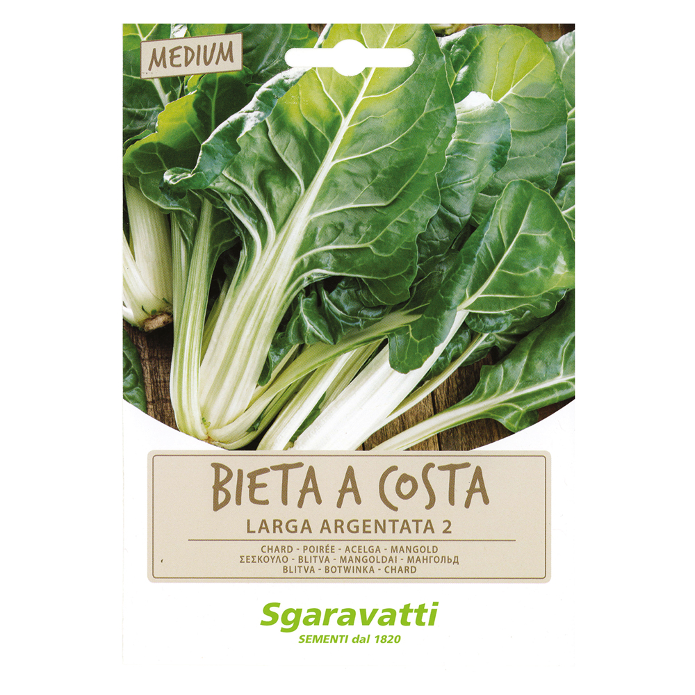 Semi per ortaggi e vegetali bieta verde costa larga argentata Sgaravatti