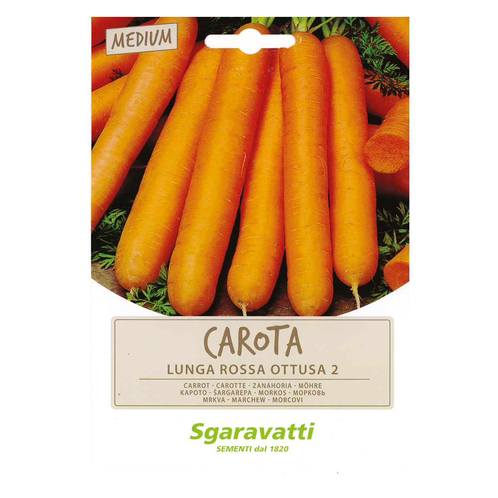 Semi per ortaggi e vegetali carota lunga ottusa Sgaravatti
