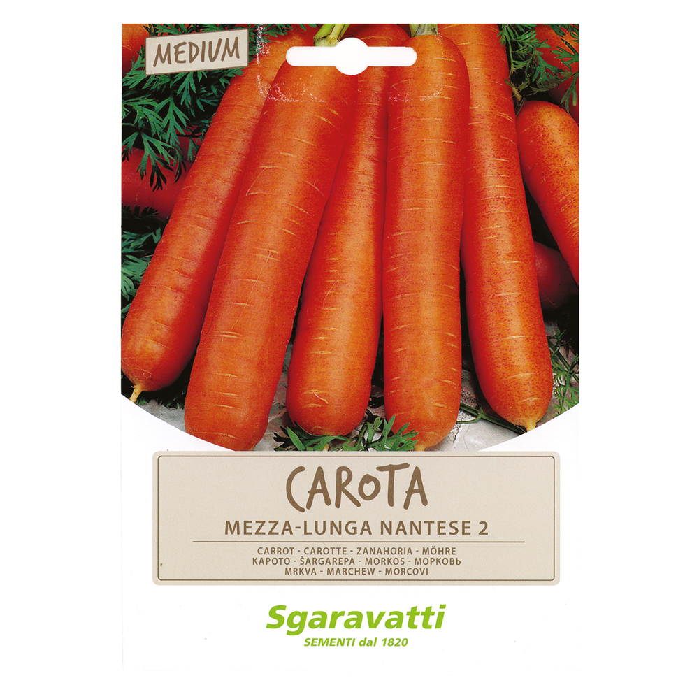 Semi per ortaggi e vegetali carota lunga nantese 2 Sgaravatti