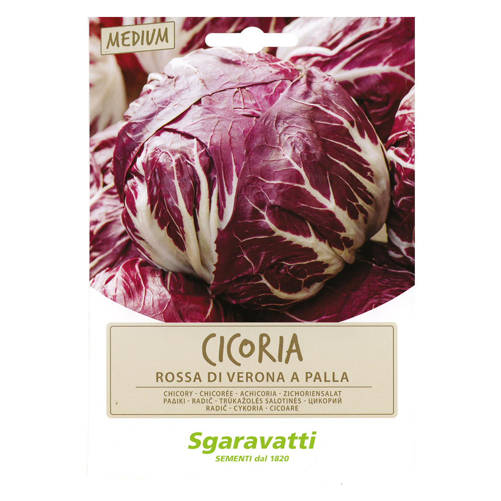 Semi per ortaggi e vegetali cicoria rossa di verona a palla Sgaravatti