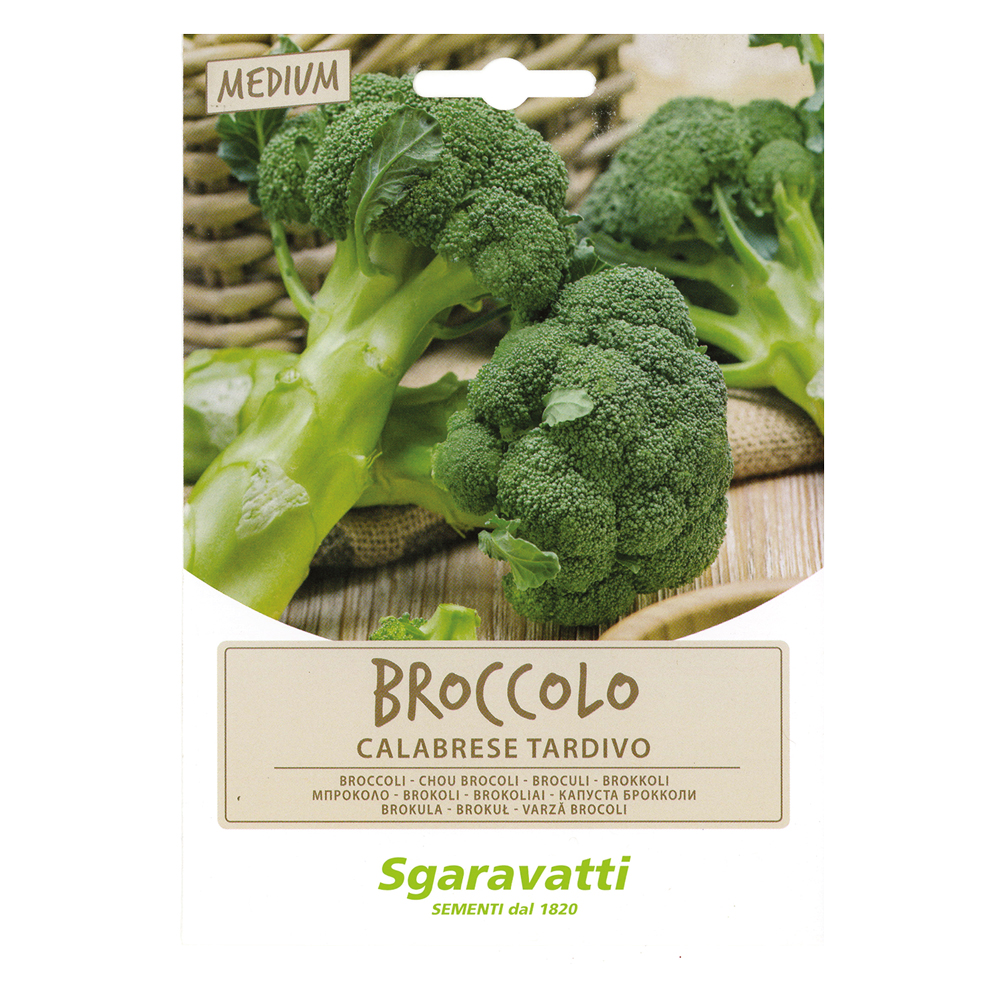 Semi per ortaggi e vegetali broccolo ramoso calabrese tardivo Sgaravatti