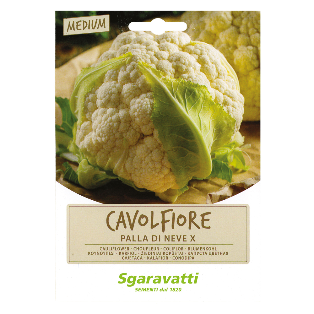 Semi per ortaggi e vegetali cavolfiore palla di neve x Sgaravatti