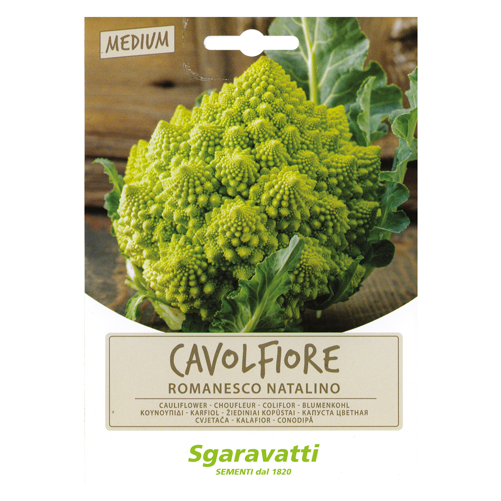 Semi per ortaggi e vegetali cavolfiore romanesco natalino Sgaravatti