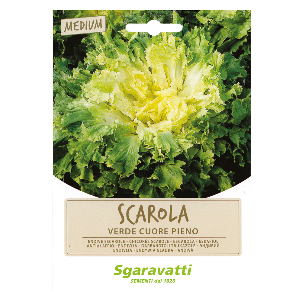 Semi per ortaggi e vegetali scarola verde cuore pieno Sgaravatti
