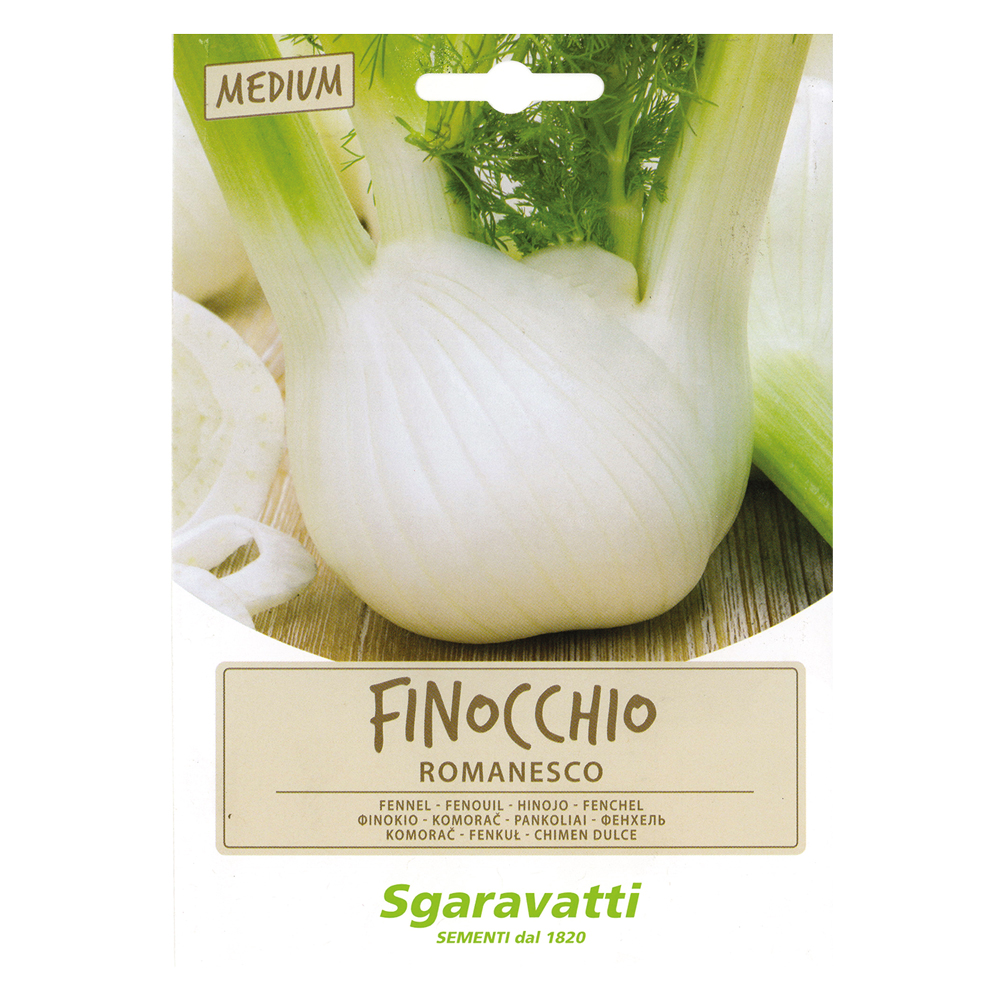 Semi per ortaggi e vegetali finocchio romanesco Sgaravatti