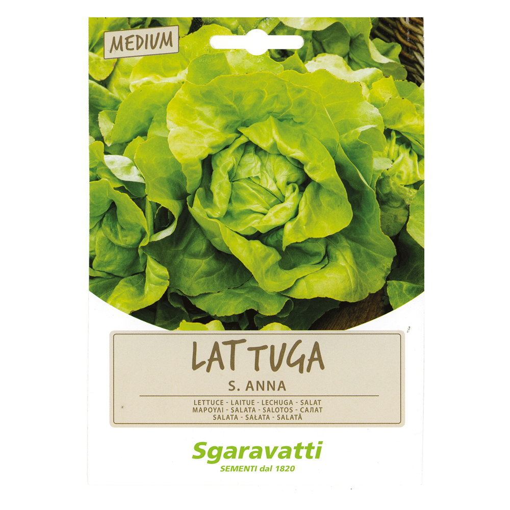 Semi per ortaggi e vegetali lattuga s. anna Sgaravatti