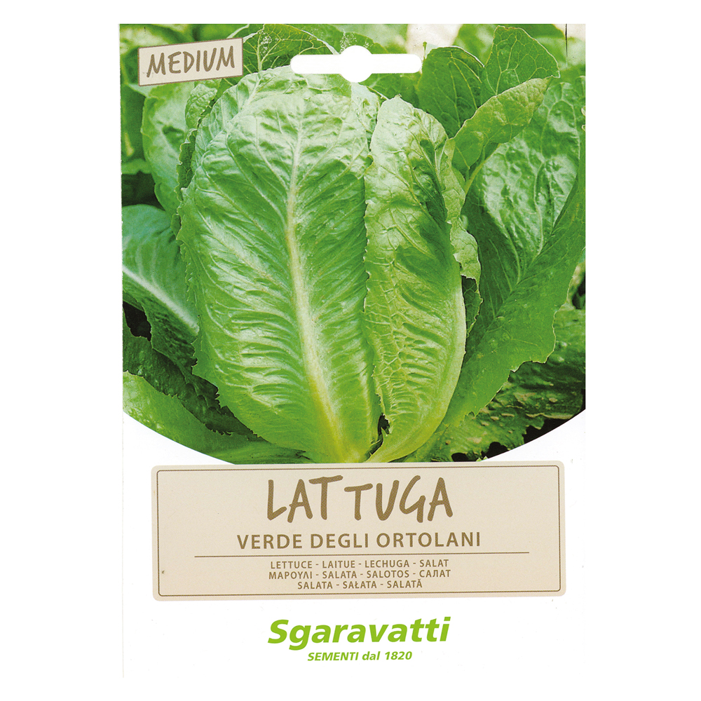 Semi per ortaggi e vegetali lattuga verde degli ortolani Sgaravatti