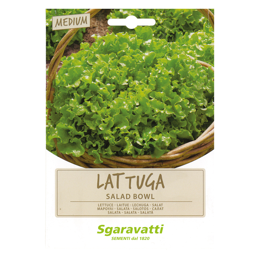 Semi per ortaggi e vegetali lattuga salad bowl Sgaravatti