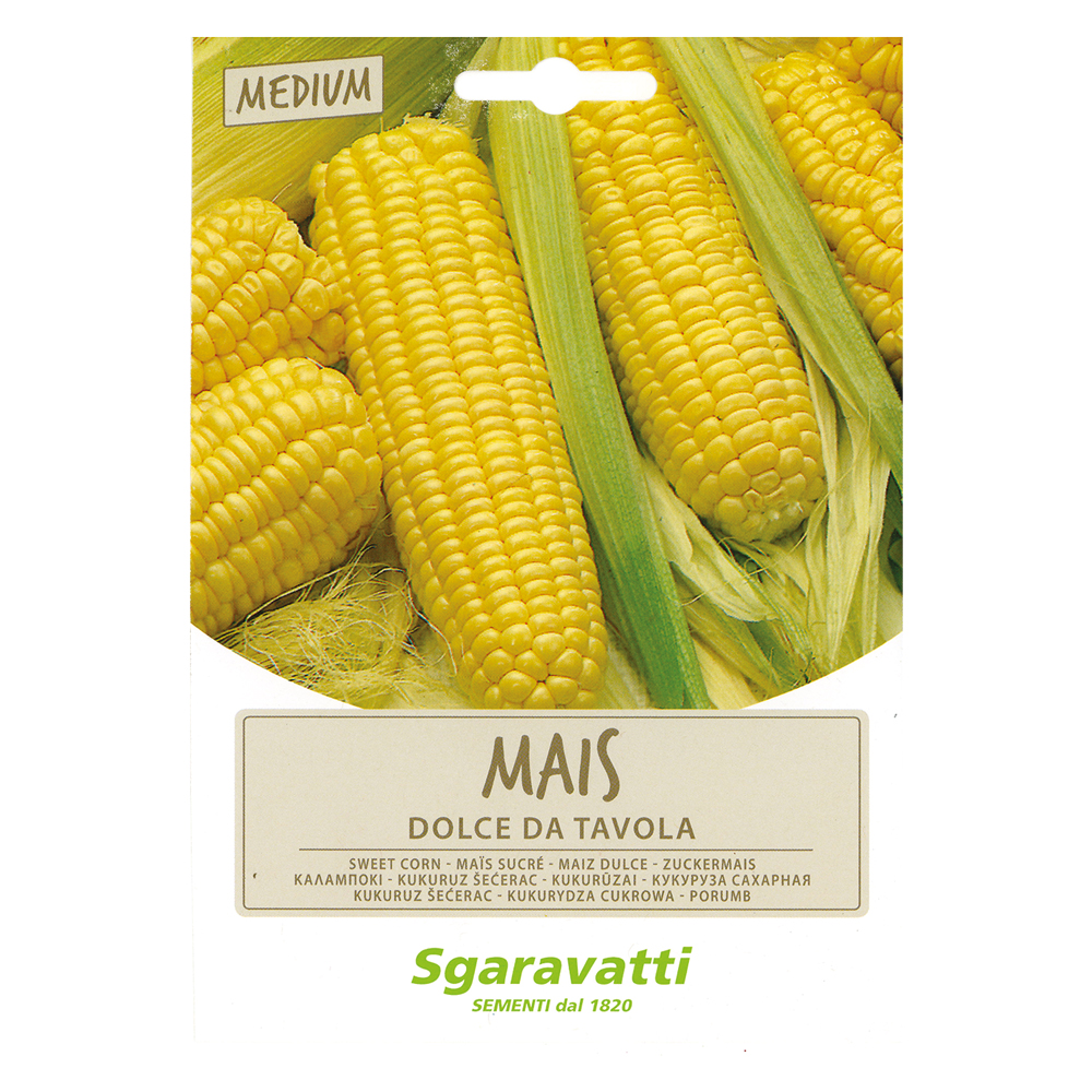 Semi per ortaggi e vegetali mais dolce golden bantam Sgaravatti