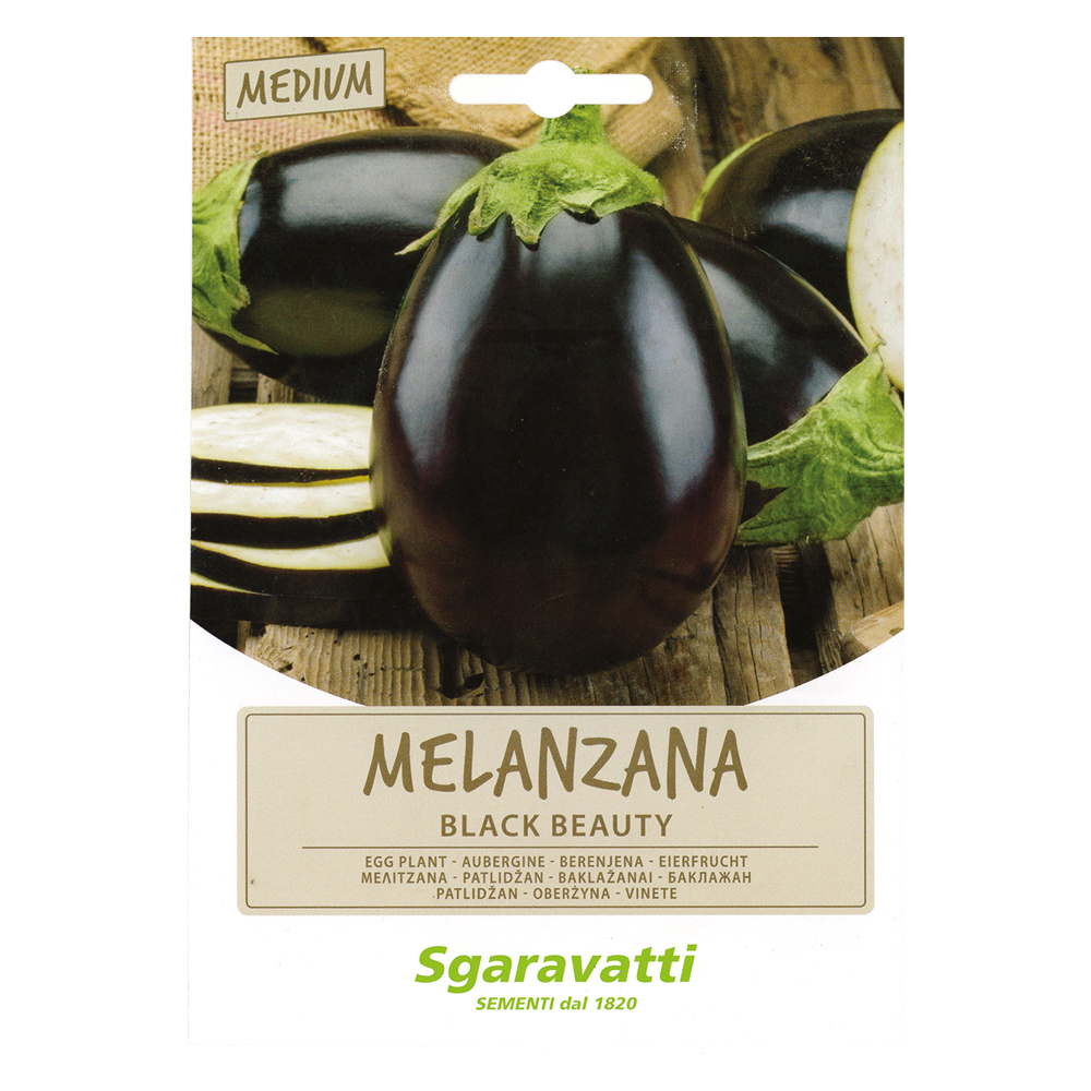 Semi per ortaggi e vegetali melanzana black beauty Sgaravatti