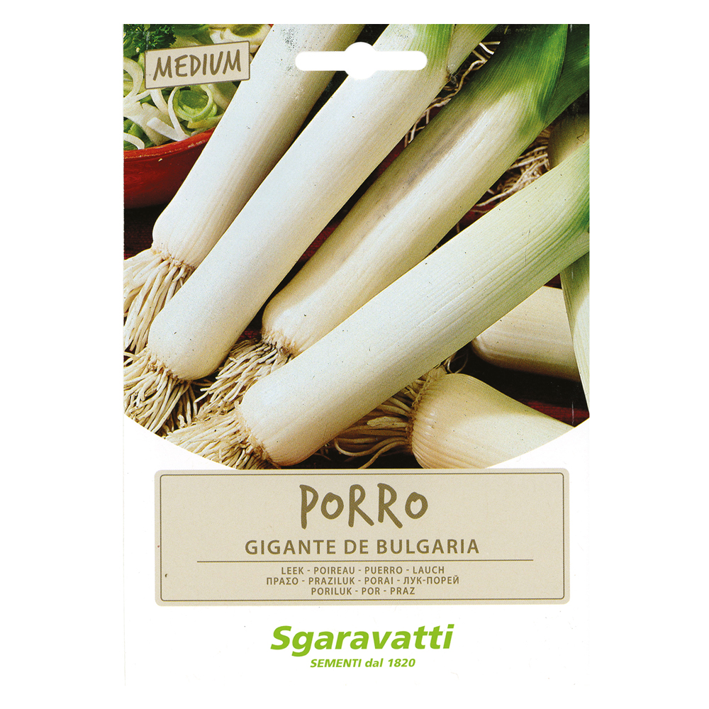 Semi per ortaggi e vegetali porro gigante de bulgaria Sgaravatti