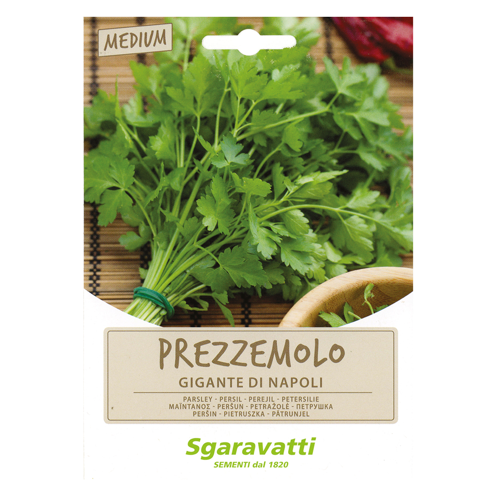 Semi per ortaggi e vegetali prezzemolo gigante napoli Sgaravatti