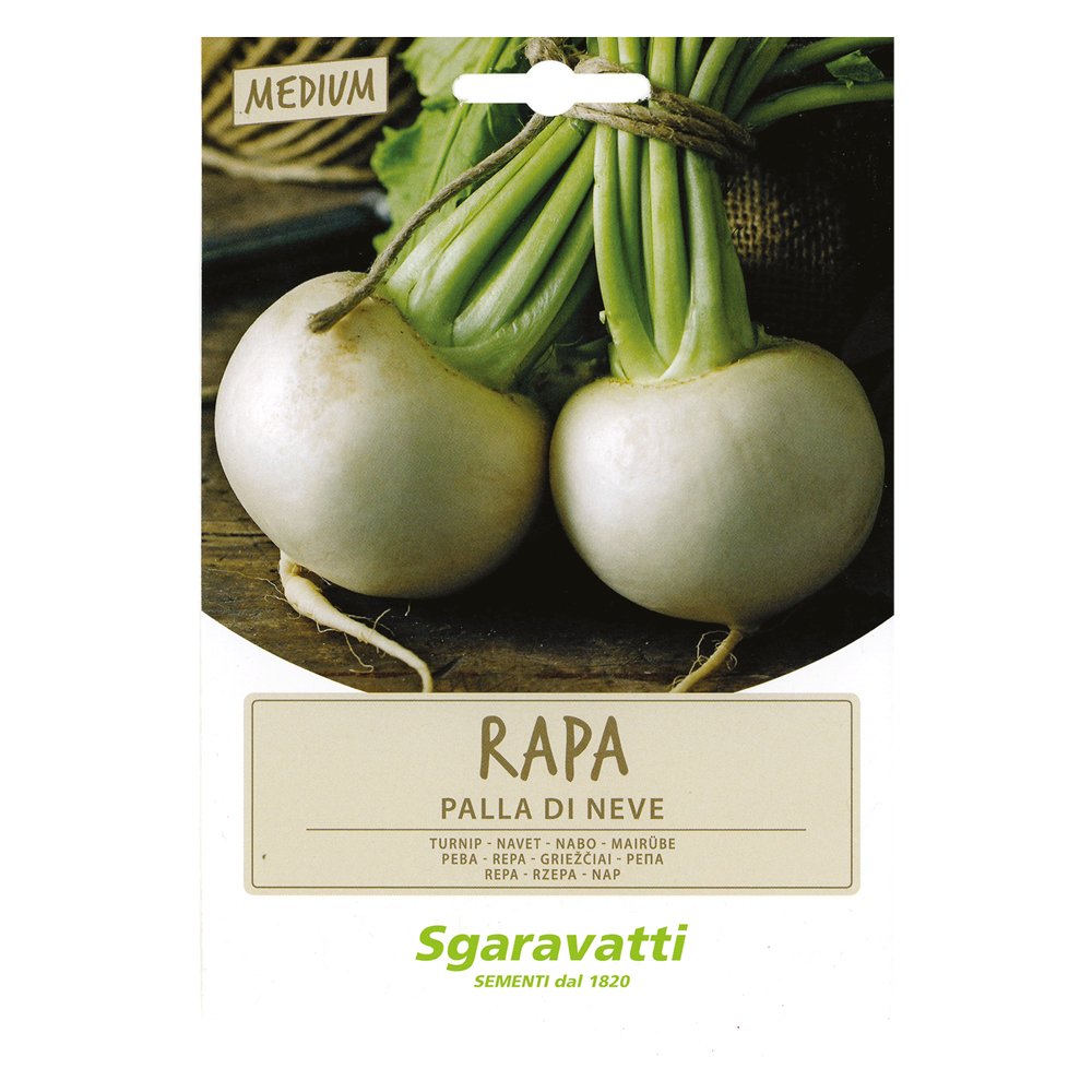 Semi per ortaggi e vegetali rapa palla di neve Sgaravatti