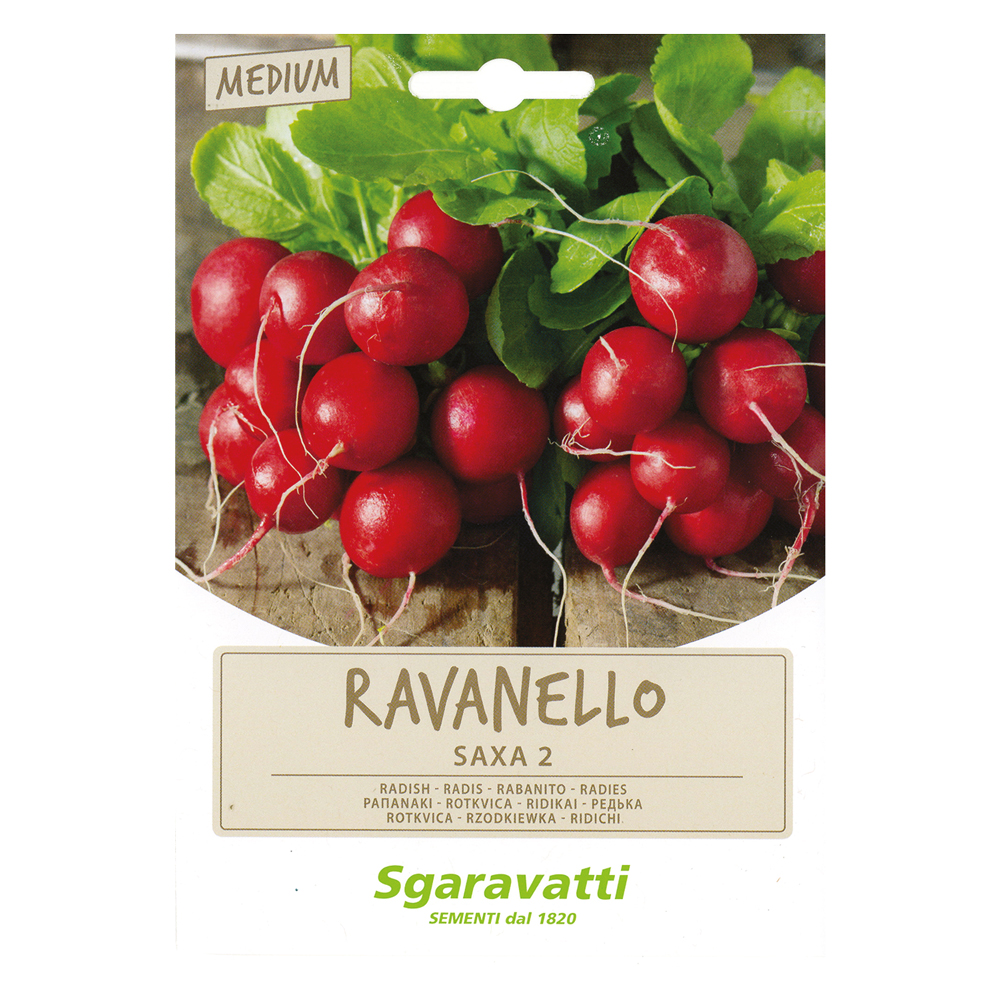Semi per ortaggi e vegetali ravanello saxa 2 Sgaravatti