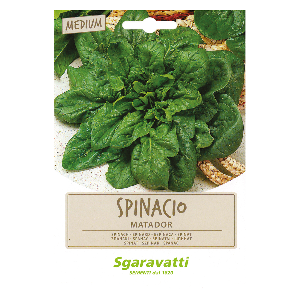 Semi per ortaggi e vegetali spinacio matador Sgaravatti