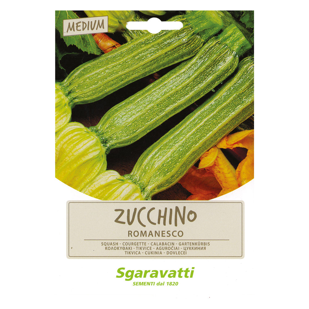 Semi per ortaggi e vegetali zucchino romanesco Sgaravatti