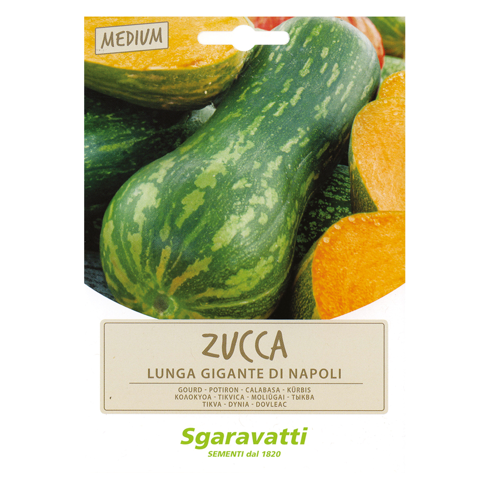 Semi per ortaggi e vegetali zucca lunga gigante di napoli Sgaravatti