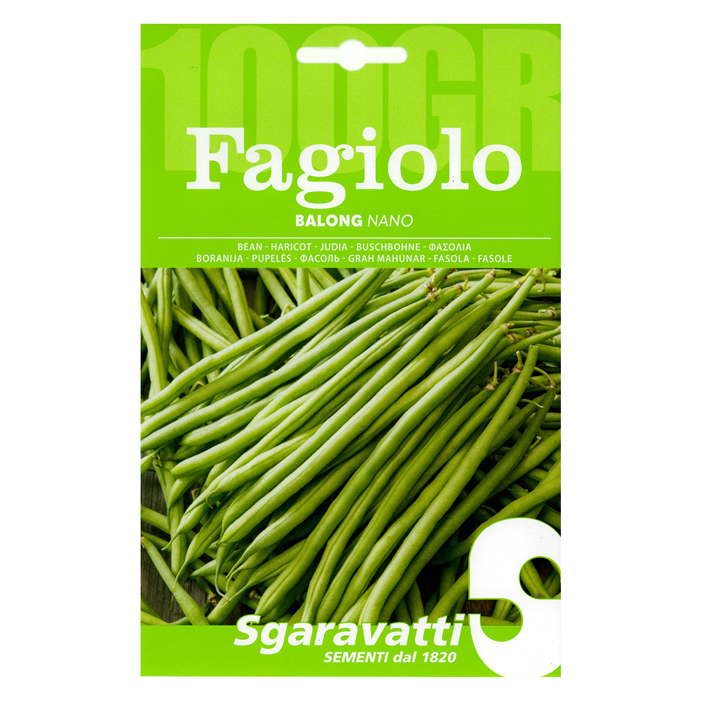 Semi per fagioli fagiolo nano balong – gr 100 Sgaravatti