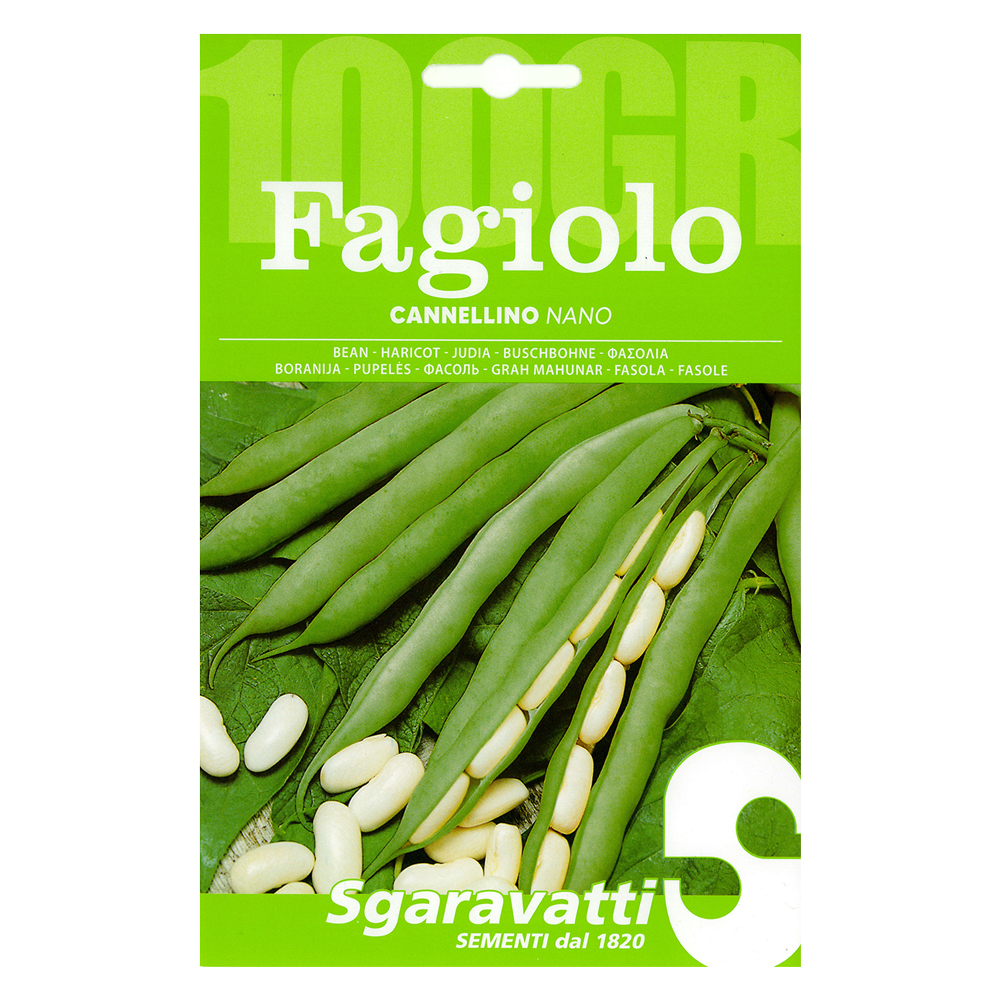 Semi per fagioli fagiolo nano cannellino – gr  250 Sgaravatti