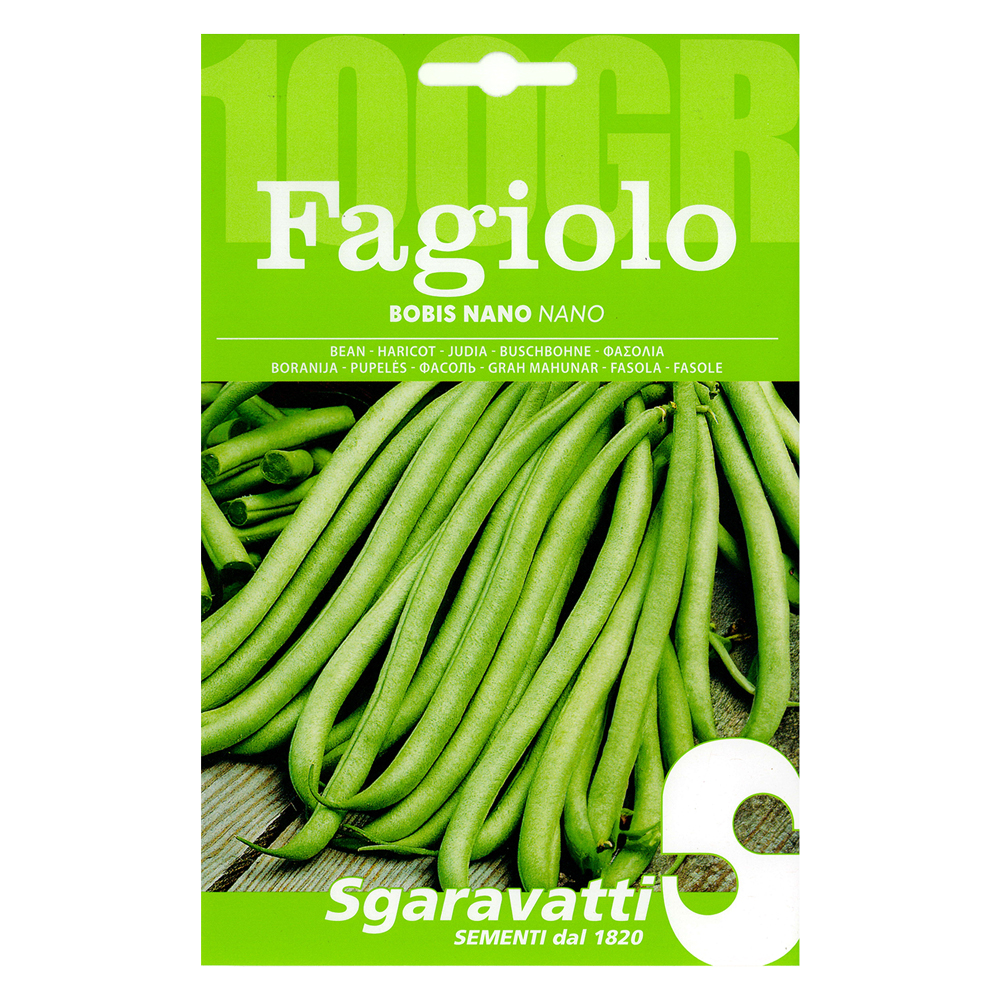Semi per fagioli fagiolo bobis bianco – gr 100 Sgaravatti