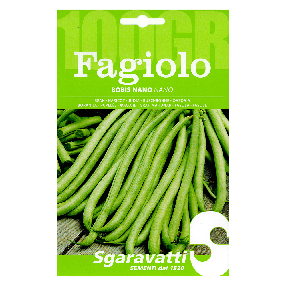 Semi per fagioli fagiolo bobis bianco – gr 250 Sgaravatti