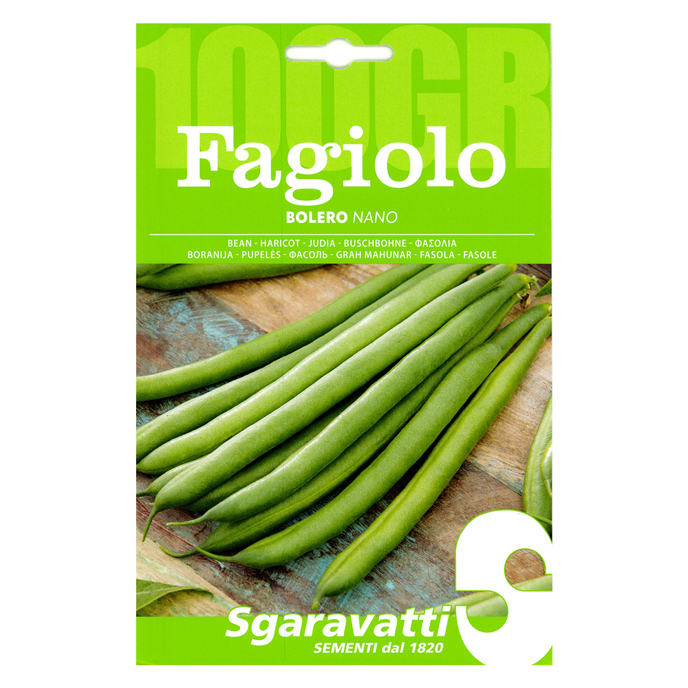 Semi per fagioli fagiolo nano bolero – gr 100 Sgaravatti