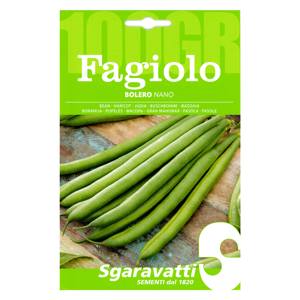Semi per fagioli fagiolo nano bolero – gr 250 Sgaravatti