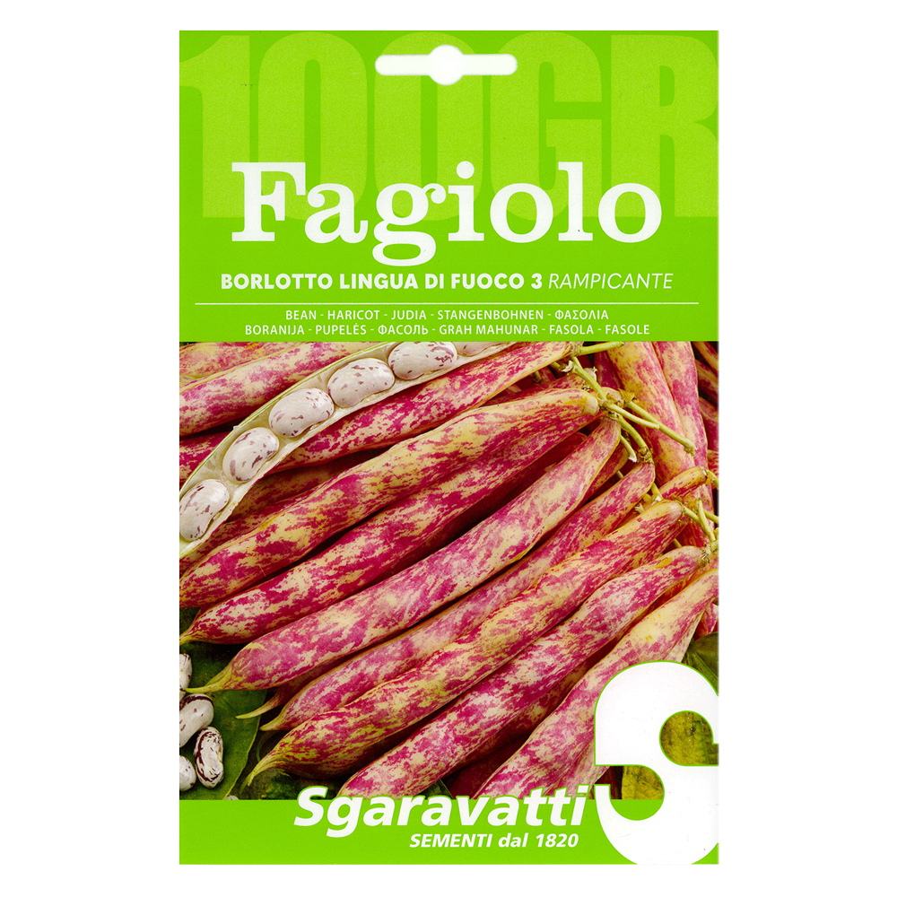 Semi per fagioli fagiolo borlotto rampicante lingua di fuoco 3 – gr 100 Sgaravatti