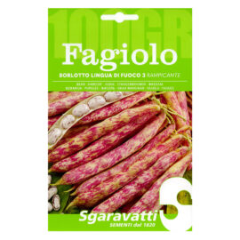 Semi per fagioli fagiolo borlotto rampicante lingua di fuoco 3 - gr 250 Sgaravatti