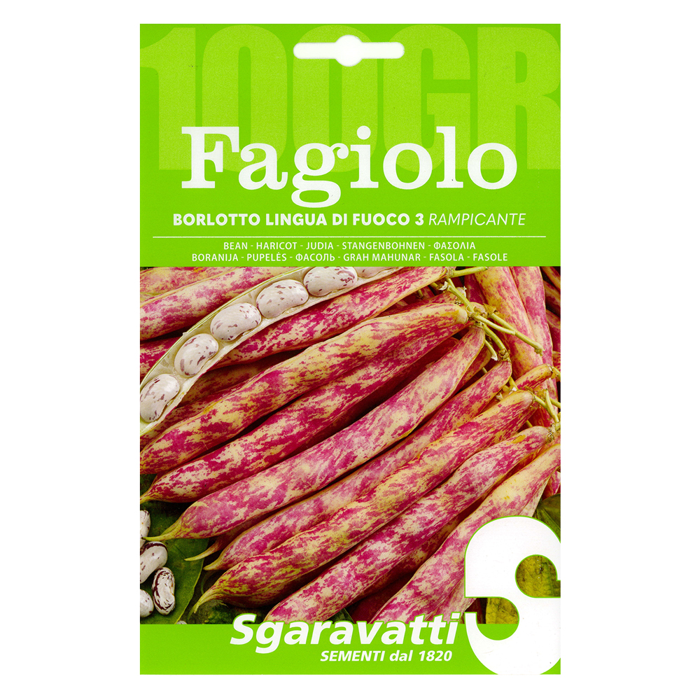 Semi per fagioli fagiolo borlotto rampicante lingua di fuoco 3 – gr 250 Sgaravatti
