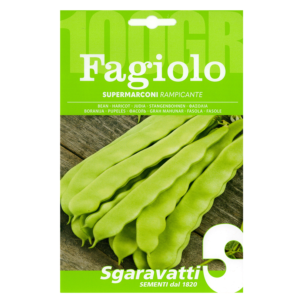 Semi per fagioli fagiolo rampicante supermarconi – gr 100 Sgaravatti