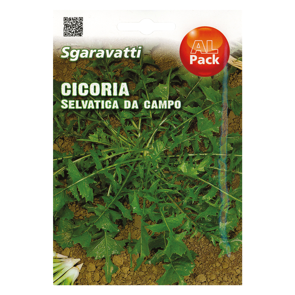Semi per ortaggi e vegetali cicoria selvatica da campo Sgaravatti
