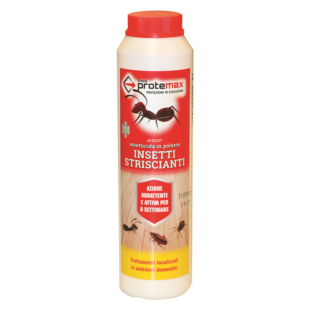 Insetticida in polvere gr 200 – barattolo Protemax