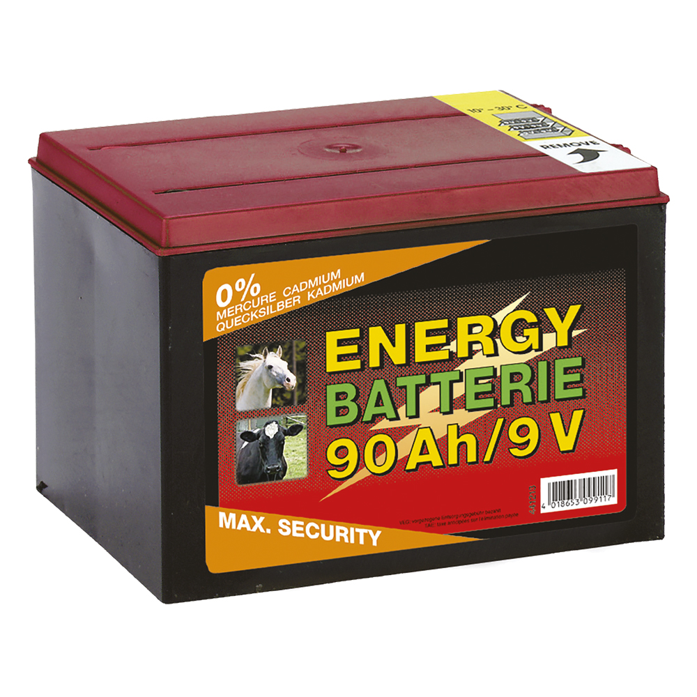 Batteria per elettrificatore 90 ah Albert kerbl