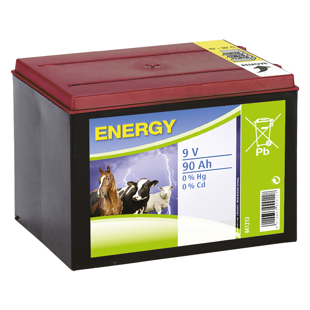 Batteria per elettrificatore 9v – 170 ah Albert kerbl