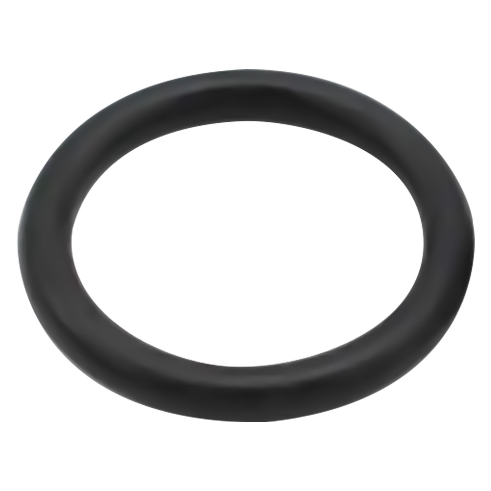 O-ring per motopompa irroratrice mm. 3,53 x 21,82 Comet