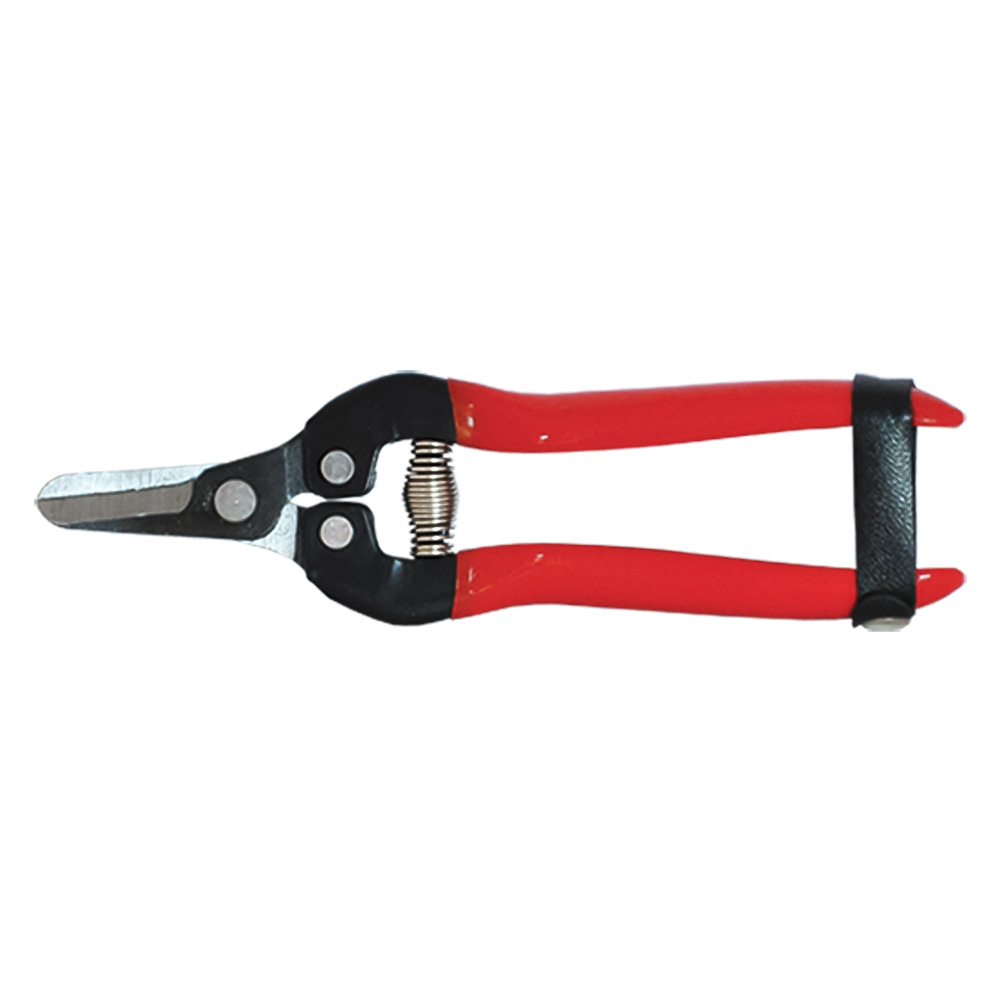 Forbici cogliuva cm. 19 Falci