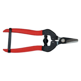 Forbici cogliuva cm 16 - pz. 1 Blister koncreto